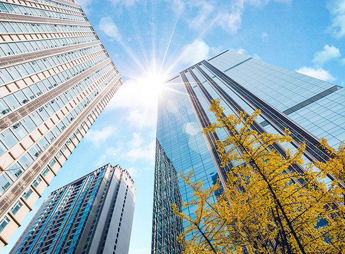 RighInfo002816-2 RighInfo002816-2